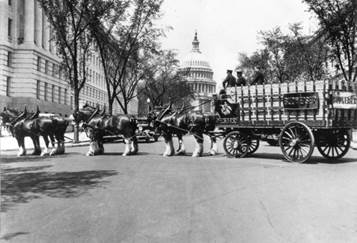 Historic Clydesdales photos