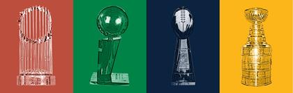 Image result for pro sports trophies