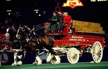 August A. Busch Jr. and Clydesdale at Busch Stadium