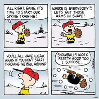 Image result for peanuts spring training