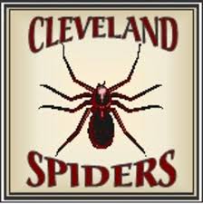 https://asipofsports.files.wordpress.com/2019/06/cleveland-spiders-logo.jpg