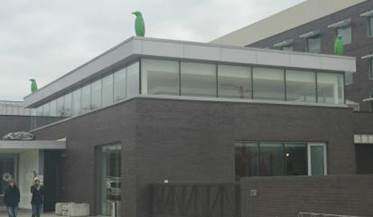 Penguins even on the roof - Picture of 21c Museum Hotel Bentonville -  Tripadvisor