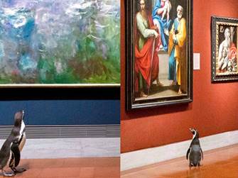 Penguins go on a field trip to the art museum for a day