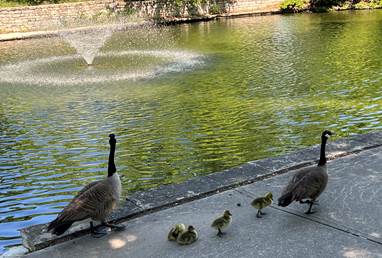 IMG_3213.jpeg